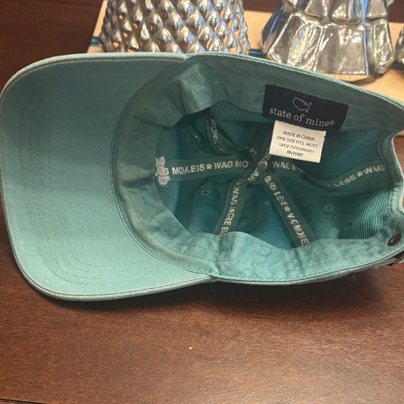 State of Mind Teal Dog Person Cap - Picture 3 of 5